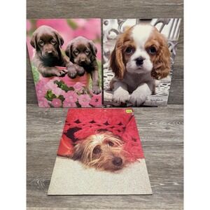 Retro Puppy dog Folder Lot of 3 Class Act Keith Kimberlin / Camp School 2 Pocket